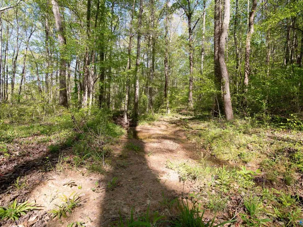 28 County Rd #279, Moulton, AL 35650