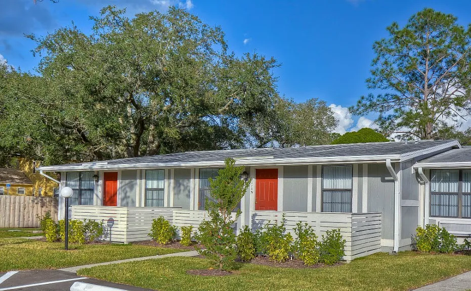 Live Oak