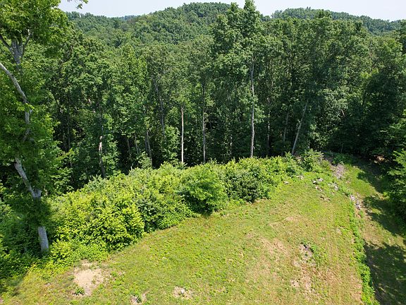 2nd image of LOT 52 Fork Horn Trl