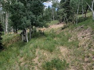 10th Street LOT 1, 2, 3, Jasper, CO 81144