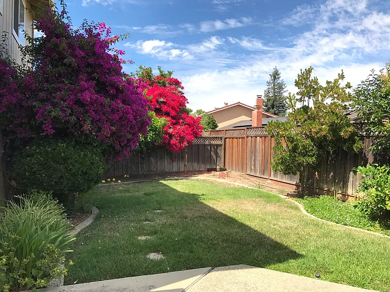 1082 Robbia Dr — Photo 17