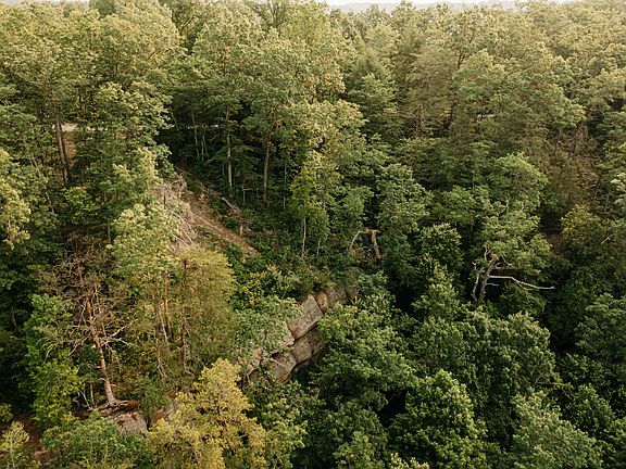 5th image of 1162 Forest View Dr