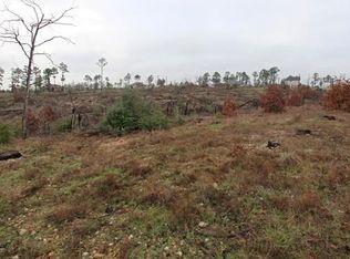 389 McAllister Rd, Bastrop, TX 78602