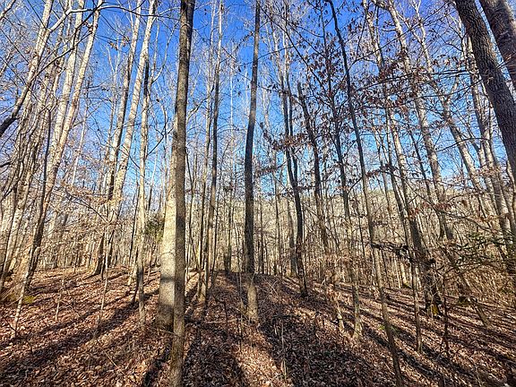 4th image of 0 Indian Creek Rd