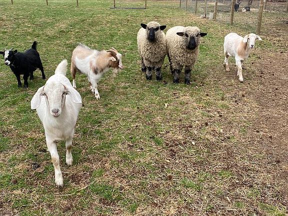 4th image of 0 Angelow Rd