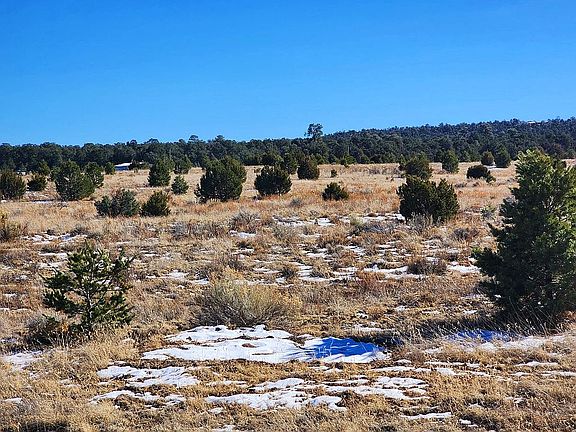 2nd image of 36 W Mustang Rd