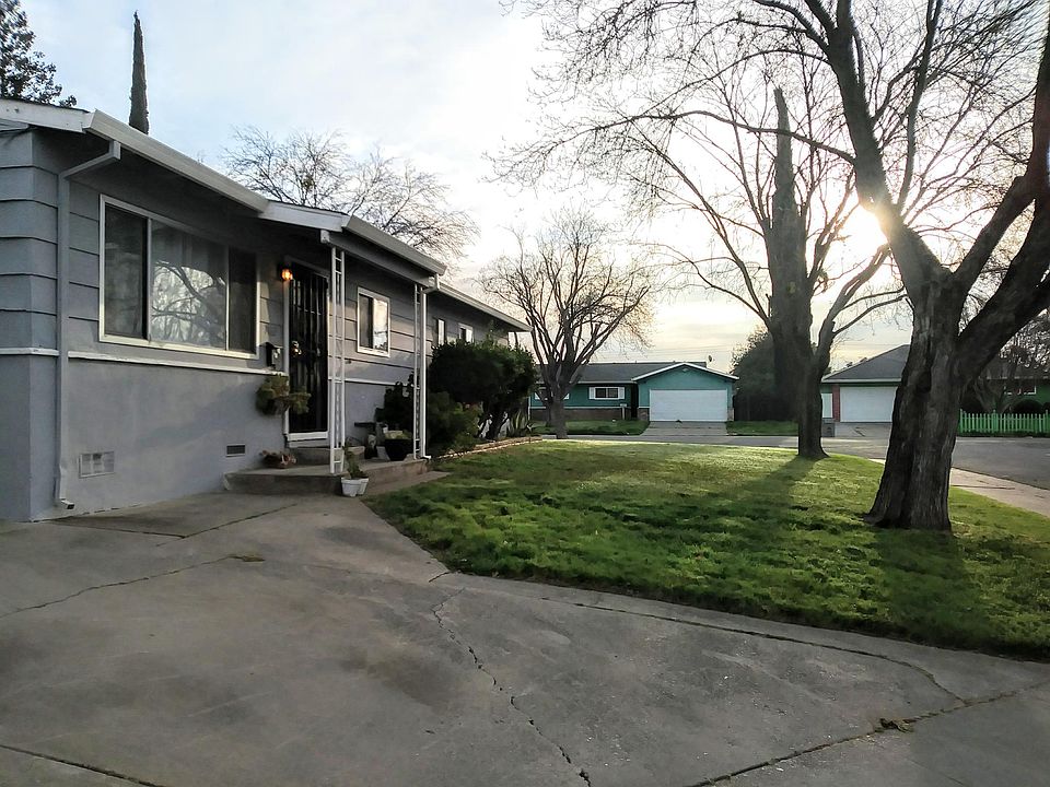 Front Yard and trees - winter morning photo - lots of shade in the summer.