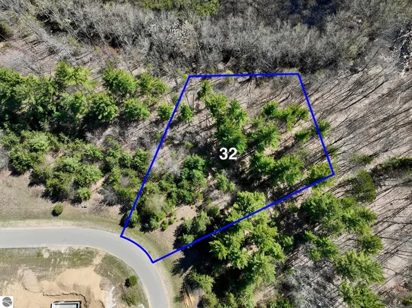 6387 Jeffrey Pl Lot 32, Grawn, MI 49637