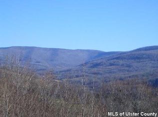 104 Old Town Rd, Roxbury, NY 12474