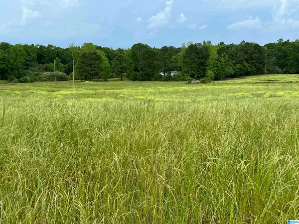 4001 County Road 21 Henderson Highway Rd #2290, Troy, AL 36079