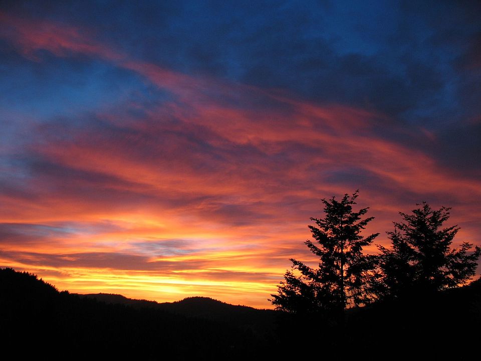Summer Sunset