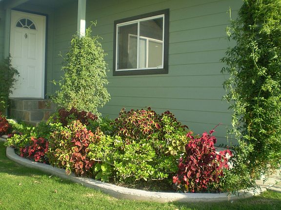 Front walk