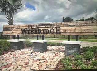 30044 Skylark Dr, Wesley Chapel, FL 33545