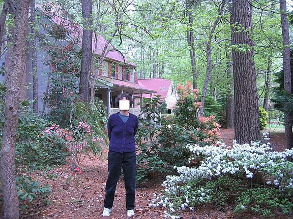 Naturalized landscaping