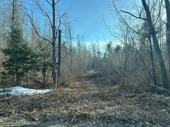 32 Atkinson Road Road, Bradford, ME 04410