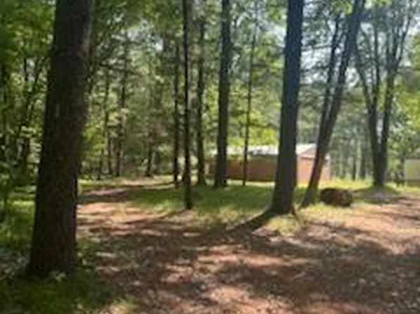 8268 S Ferris Ave, Newaygo, MI 49337
