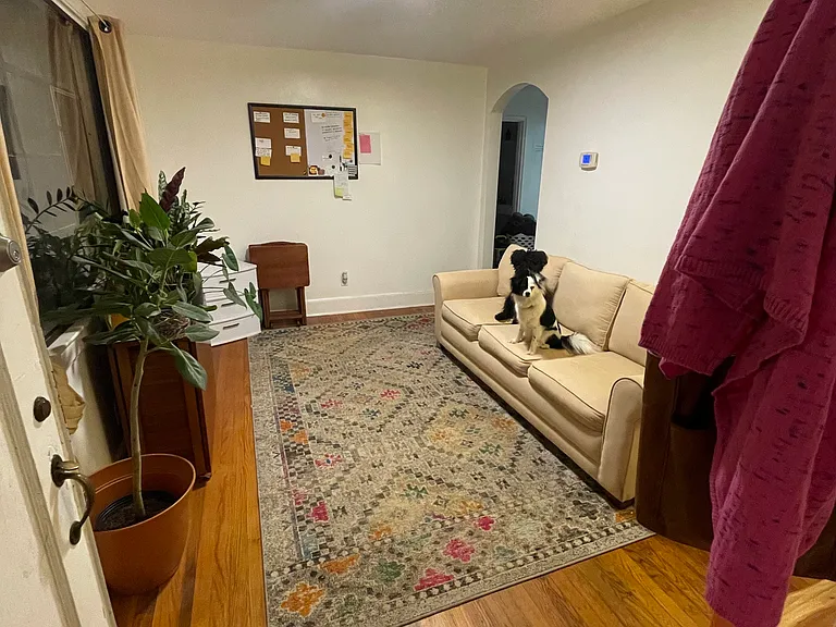 1504 Juniper St — Photo 6