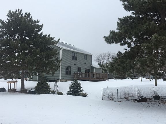 Back; siding and landscaping