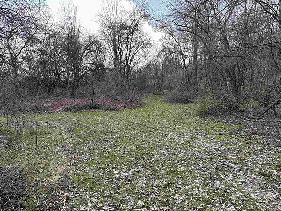 2nd image of 0 Drake Rd