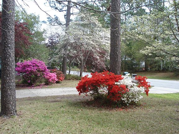 View from Front Door