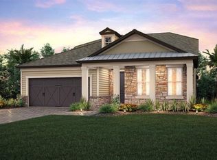 8338 Olive Brook Dr, Wesley Chapel, FL 33545
