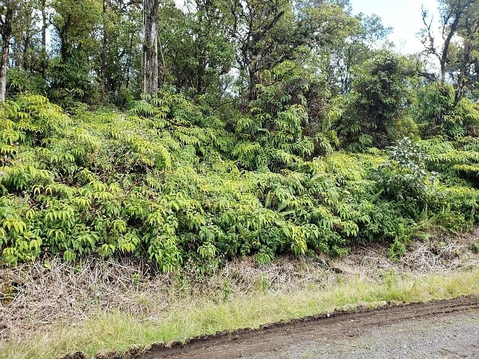 1st image of Malama St Lot 1