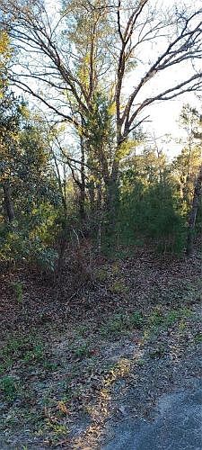 1st image of Fisher Court Way