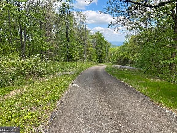 4th image of 0 Burnt Mountain Cove Rd