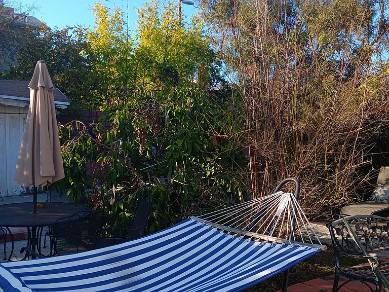 Large Yard