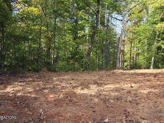 3rd image of 523 Rudd Hollow Rd