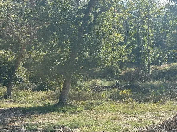 LOT 21 Mayerling Dr, Gravois Mills, MO 65037