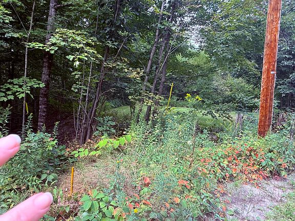 5th image of TBD Sawyer Mountain Road