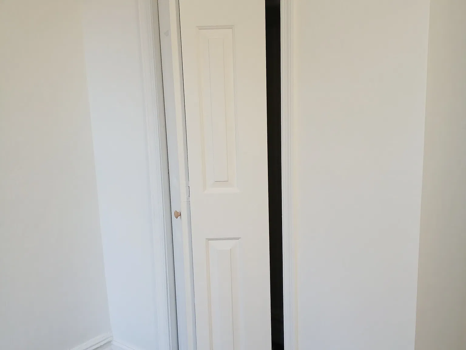 1 bed, 800 sqft, $1,300 — Photo 4