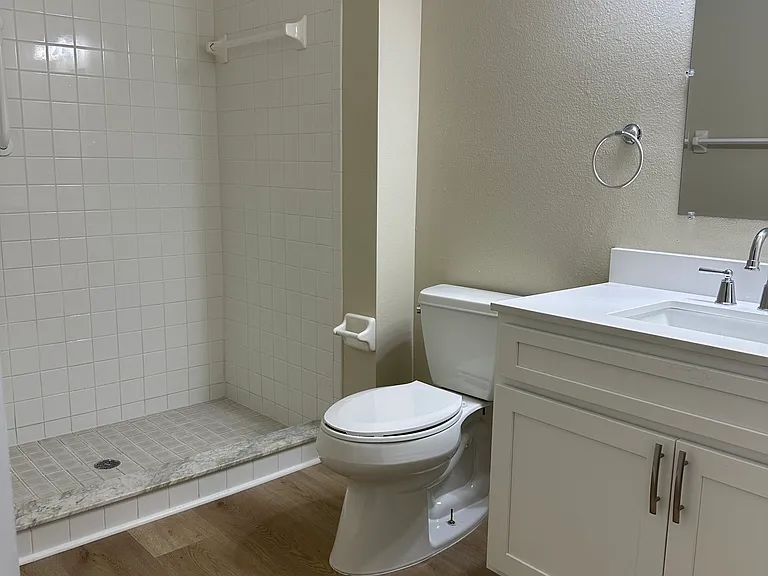 Primary Bathroom - Shower