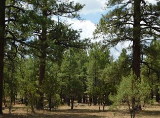 5334 Susans Way, Happy Jack, AZ 86024