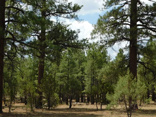 5334 Susans Way, Happy Jack, AZ 86024