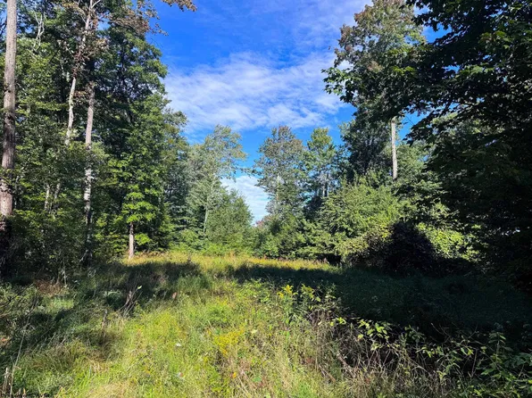 1 Woodmont Rd, Helvetia, WV 26224