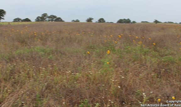 4th image of 160 Scenic Hills Dr