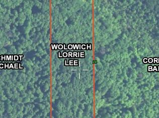 6898 Crooked River Rd, Alanson, MI 49706