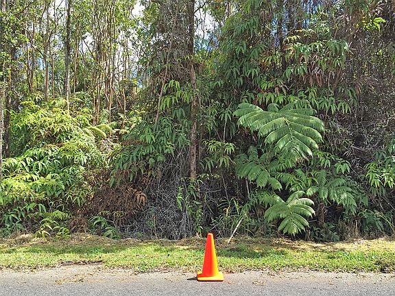 Approx left boundary of lots