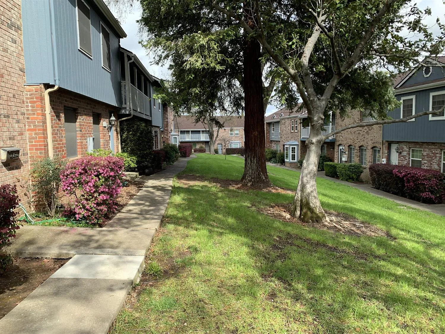 4018 Knoll Top Ct photo 1