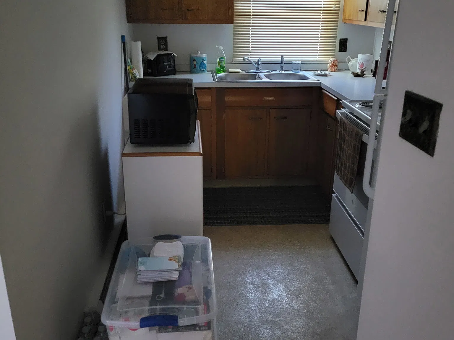 1 bed, 800 sqft, $850 — Photo 3