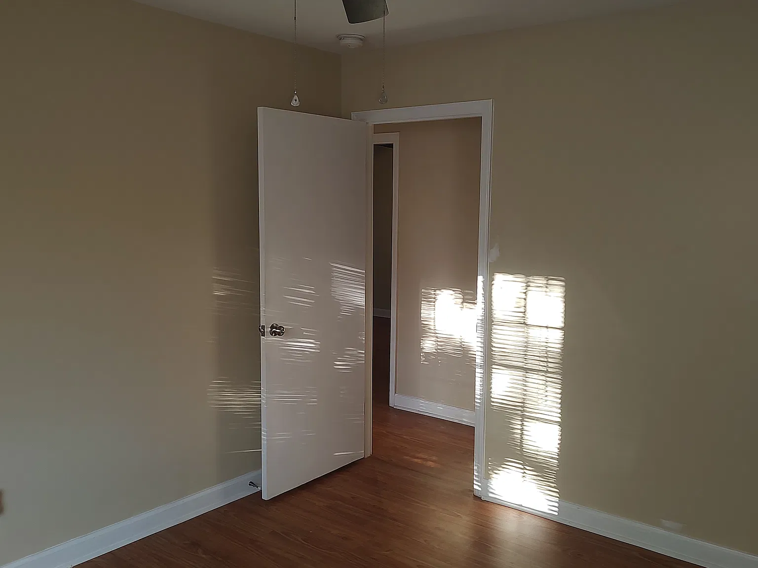 1856 Drexel Lake Dr — Photo 3
