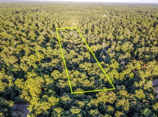 10630 S Williams Rd, Conroe, TX 77303