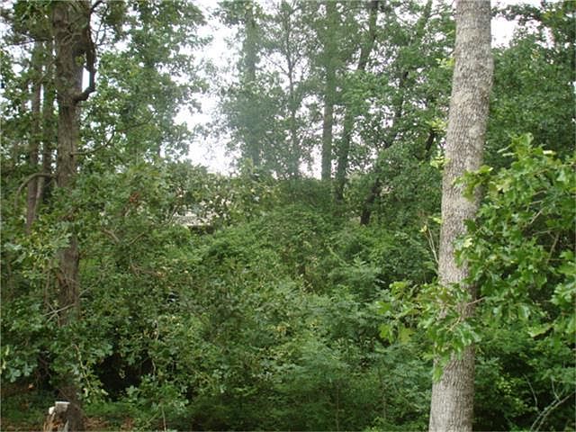 2nd image of 238 Creekwood E