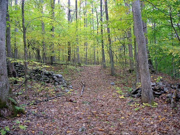 2nd image of 49.5 Paradise Hill Road