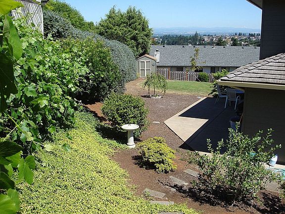 Backyard-Angled View