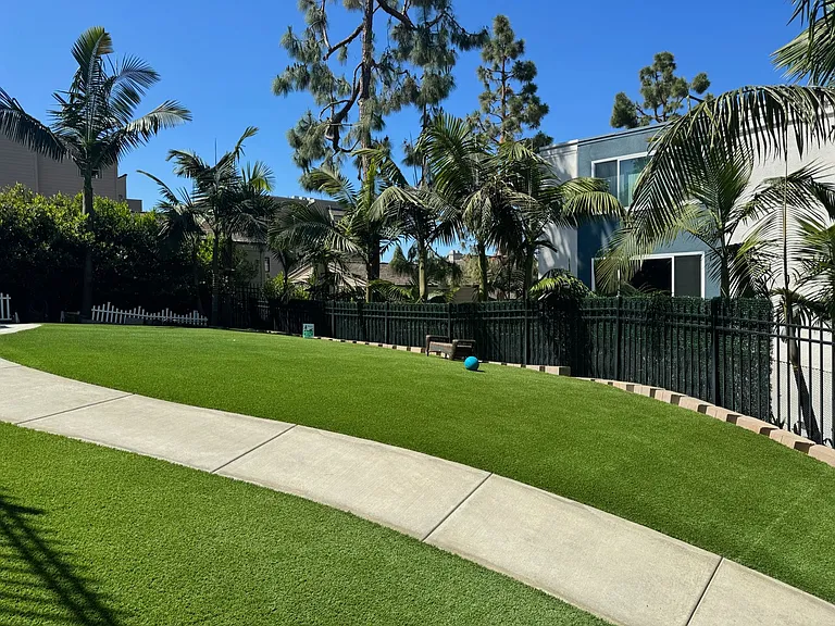 Los Arboles Apartments — Photo 8