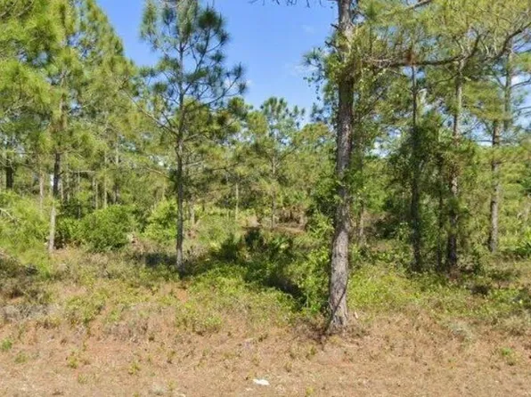 1402 Edison Ave Lot 11, Lehigh Acres, FL 33972