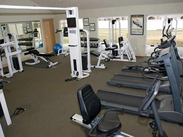 Fitness